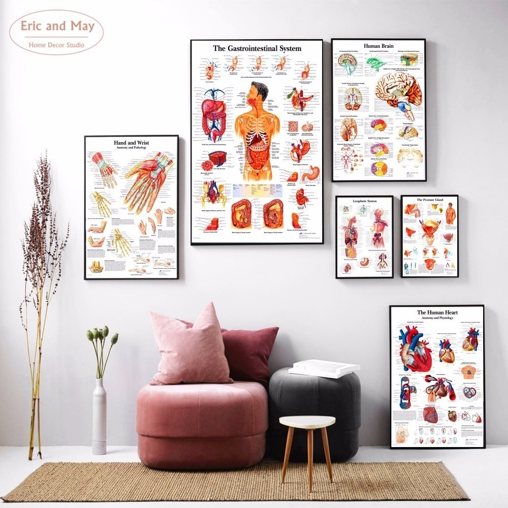 Anatomy Human Body Chart Wall Art Canvas Painting Poster For Home Decor ... Biology Diagrams