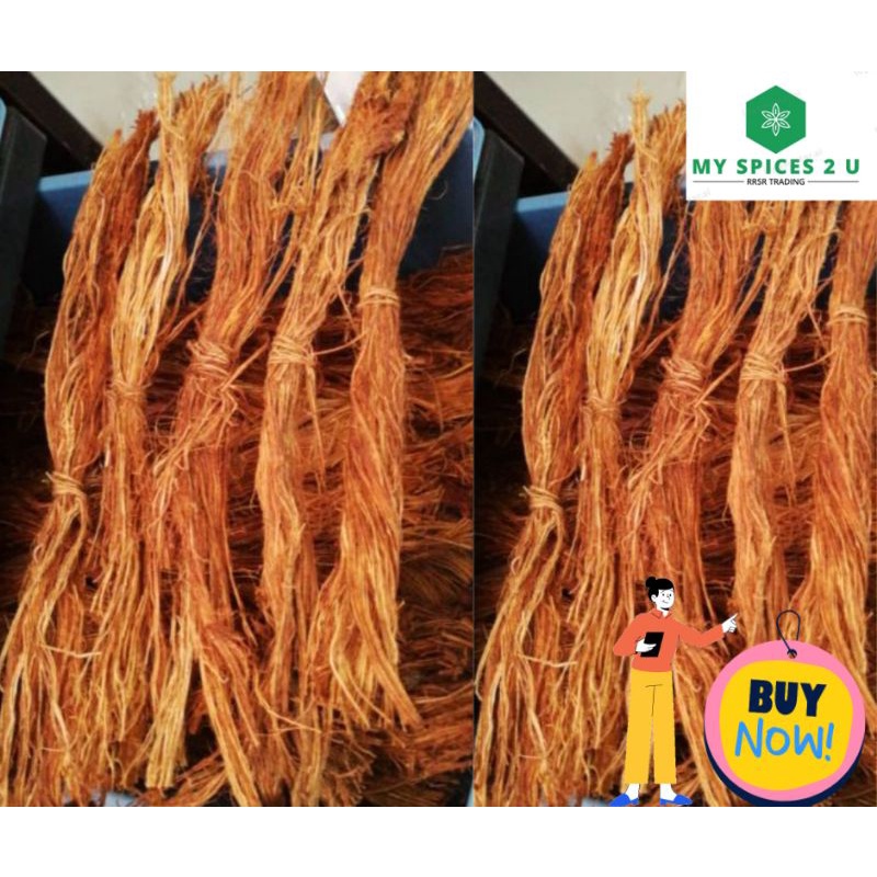 Akar sintok/(Beluru )(1 IKAT) | Shopee Malaysia