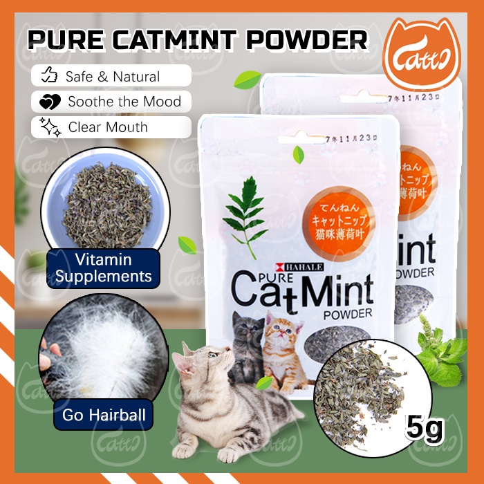 CATTO 5G Pure Catmint Powder Organic Premium Catnip Cat Mint Pokok Galak Kucing Herb Treats