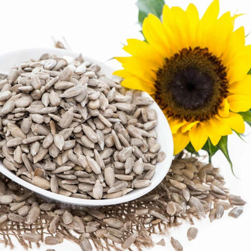 Sunflower Seeds/ Kuaci/ Biji Bunga Matahari 500g/ 1kg | Shopee Malaysia