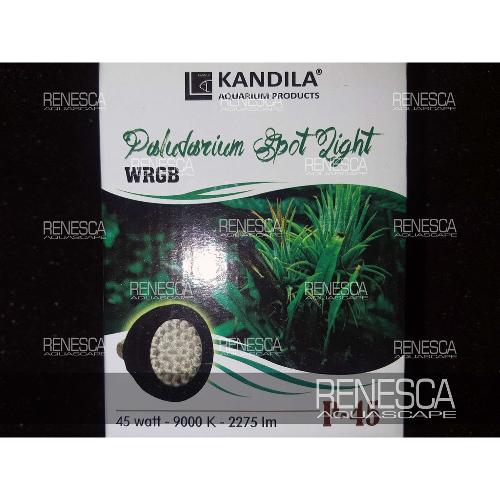 Kandila Paludarium Spot Light P45 P45 45 Watt Vivarium Terrarium Led