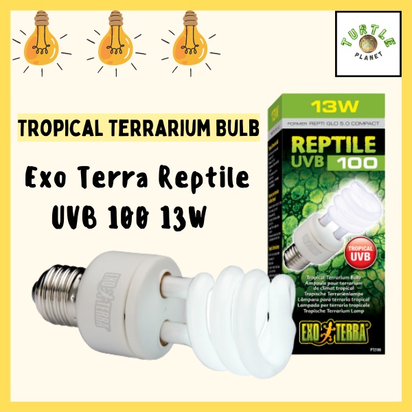 Exo Terra Reptile Light Bulb Turtle Basking Lamp Turtle Light Terrarium