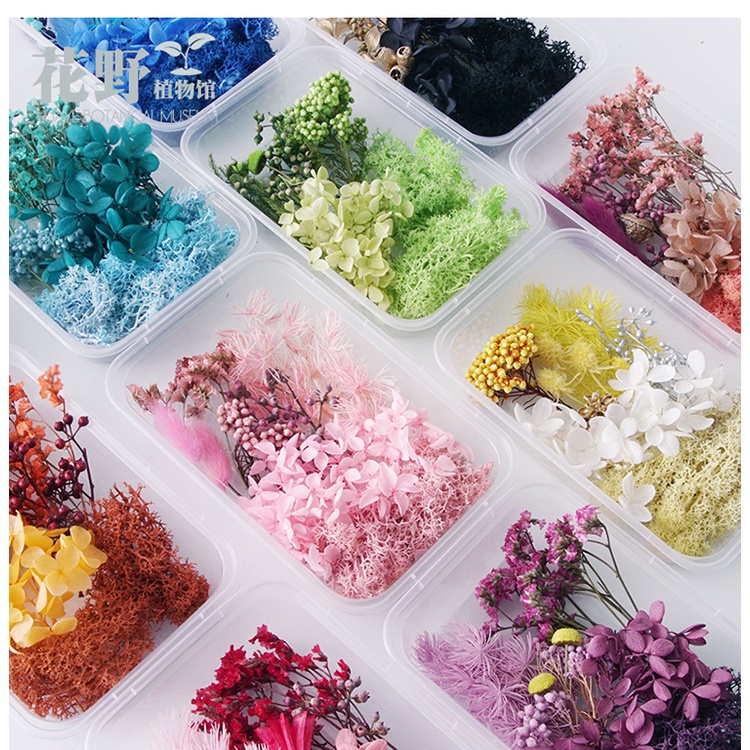 Box of Natural Dried Flowers for Soap, Candle, Frame Decor DIY Bunga