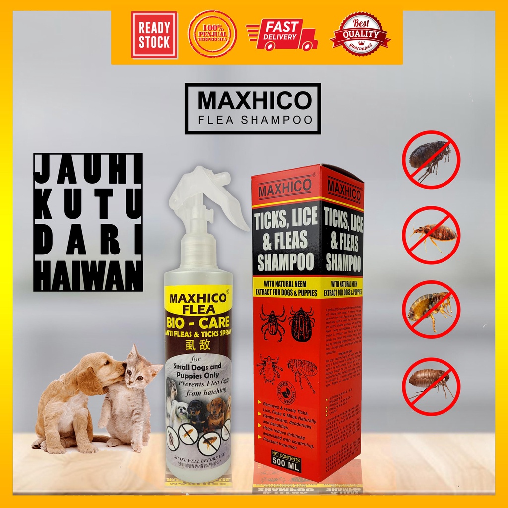 Maxhico Flea Bio Care Maxhico Ticks Lice Cat Shampoo Syampu