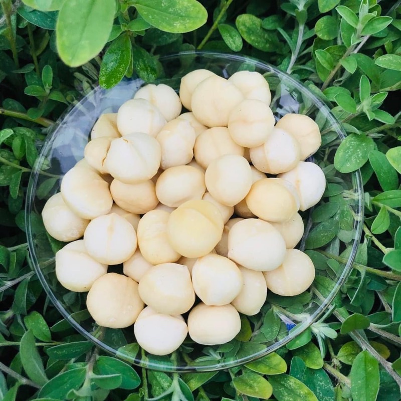 Macadamia Nuts Shopee Malaysia