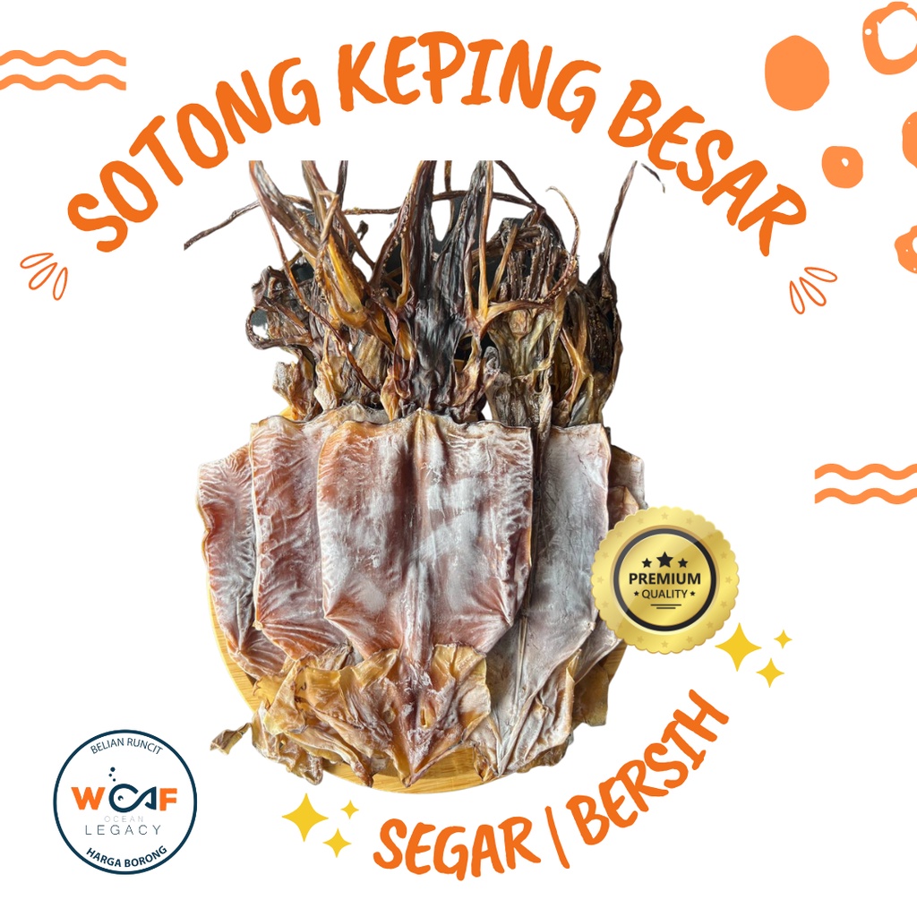Sotong Kering Keping Besar Premium | Shopee Malaysia