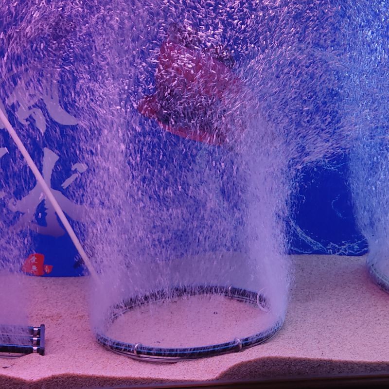 Aeration Air Ring Bubble Aquarium Shopee Malaysia