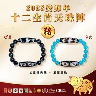 六福天珠6F Dzi 】十三眼新天珠（单颗新天珠/黑玛瑙手串） | Shopee