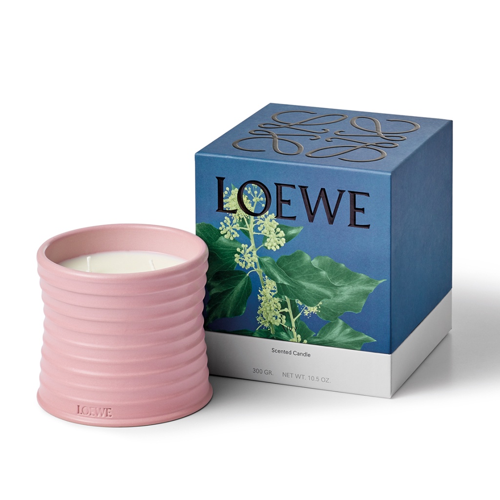 LOEWE Scented Candle 12 Fragrances - 170g | Shopee Malaysia