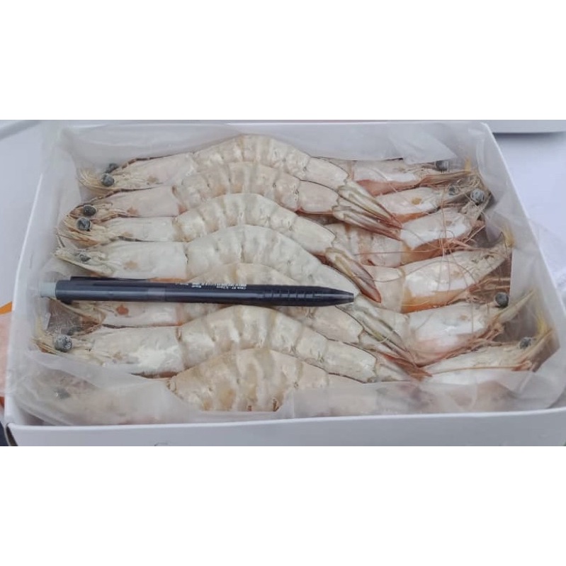 Iqf Frozen Sea White Prawn 20 30 Aa 1kg Pack Sold Per Pack Shopee