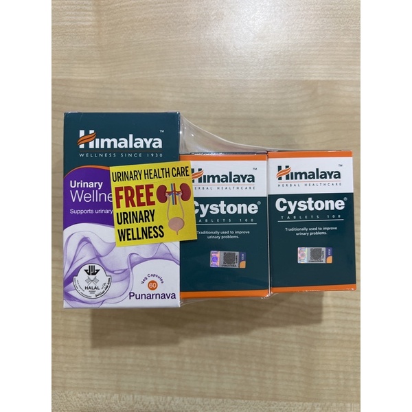 [Original with KKM Hologram] Himalaya Cystone (100s / 2x100s FOC