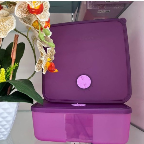 3 Sizes: Tupperware FREEZERMATE Large with Dial Fridge Frozen Cool ...