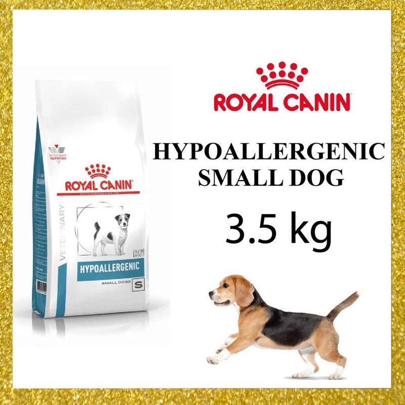 Hypoallergenic small store dog under 10kg