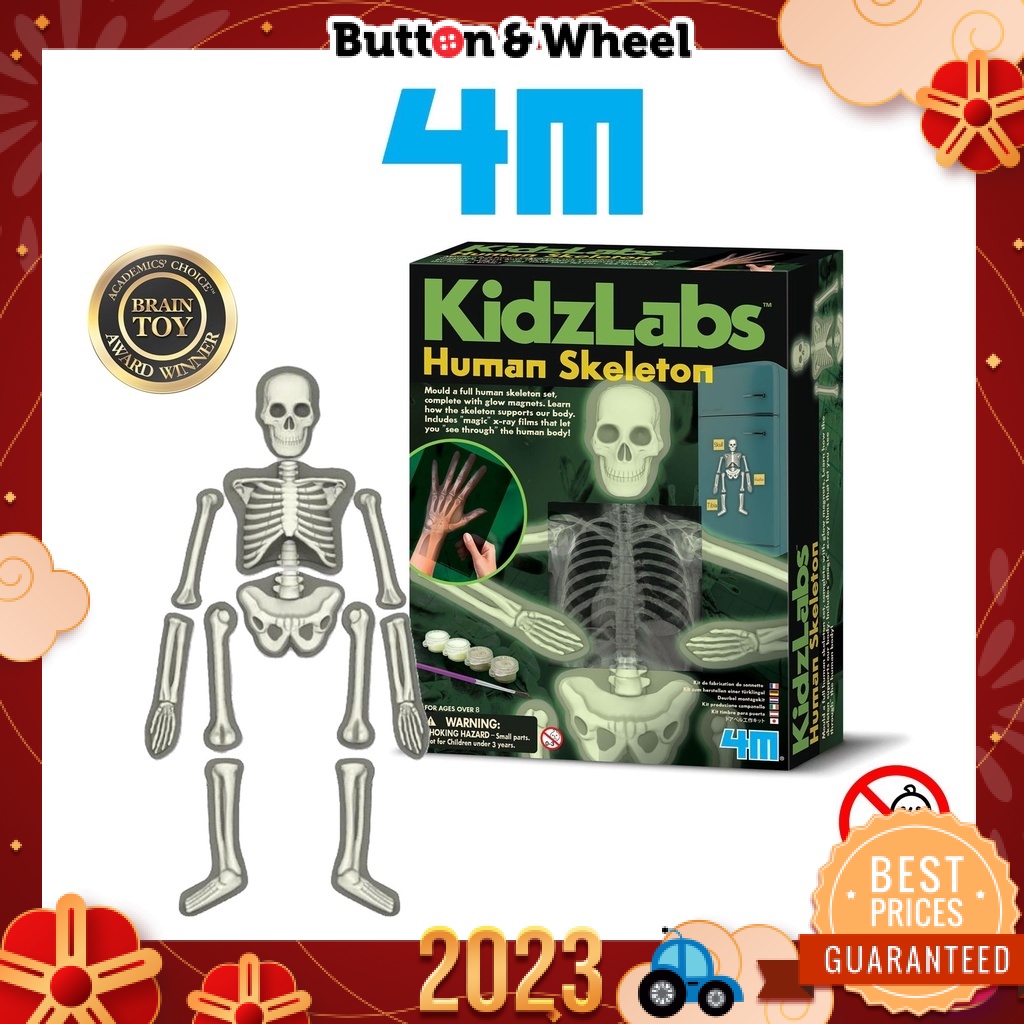 Kidz labs store glow human skeleton