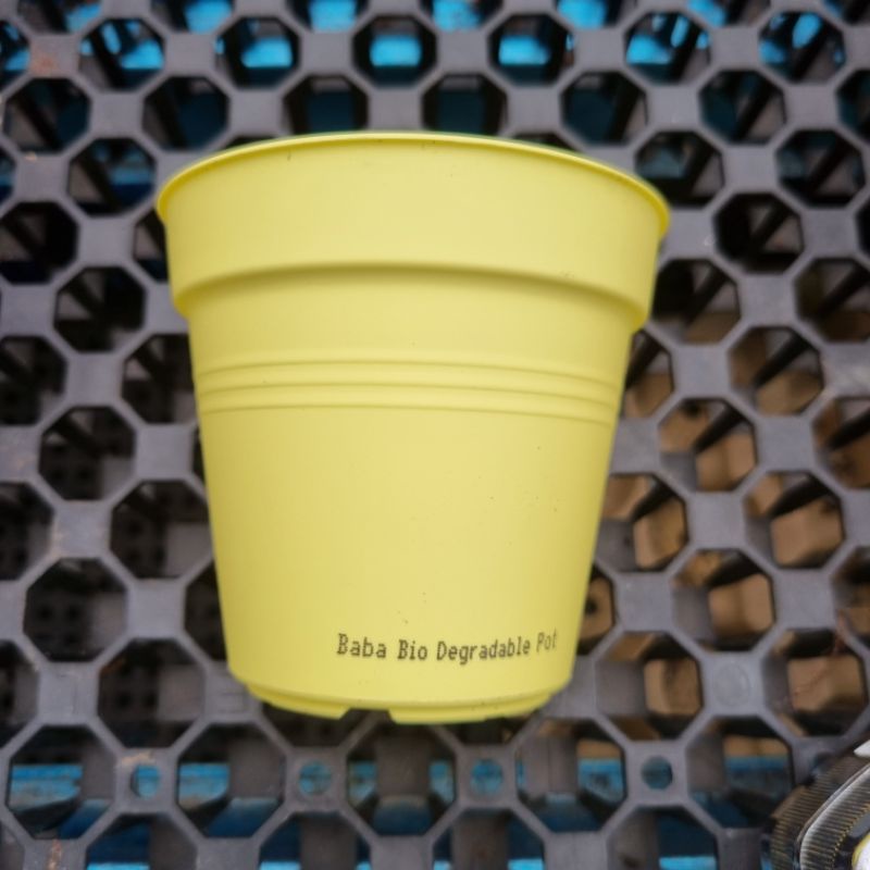 Baba Tp-85 Bio Degradable Flower Pot Ready stock (85mm D x 80mm H ...