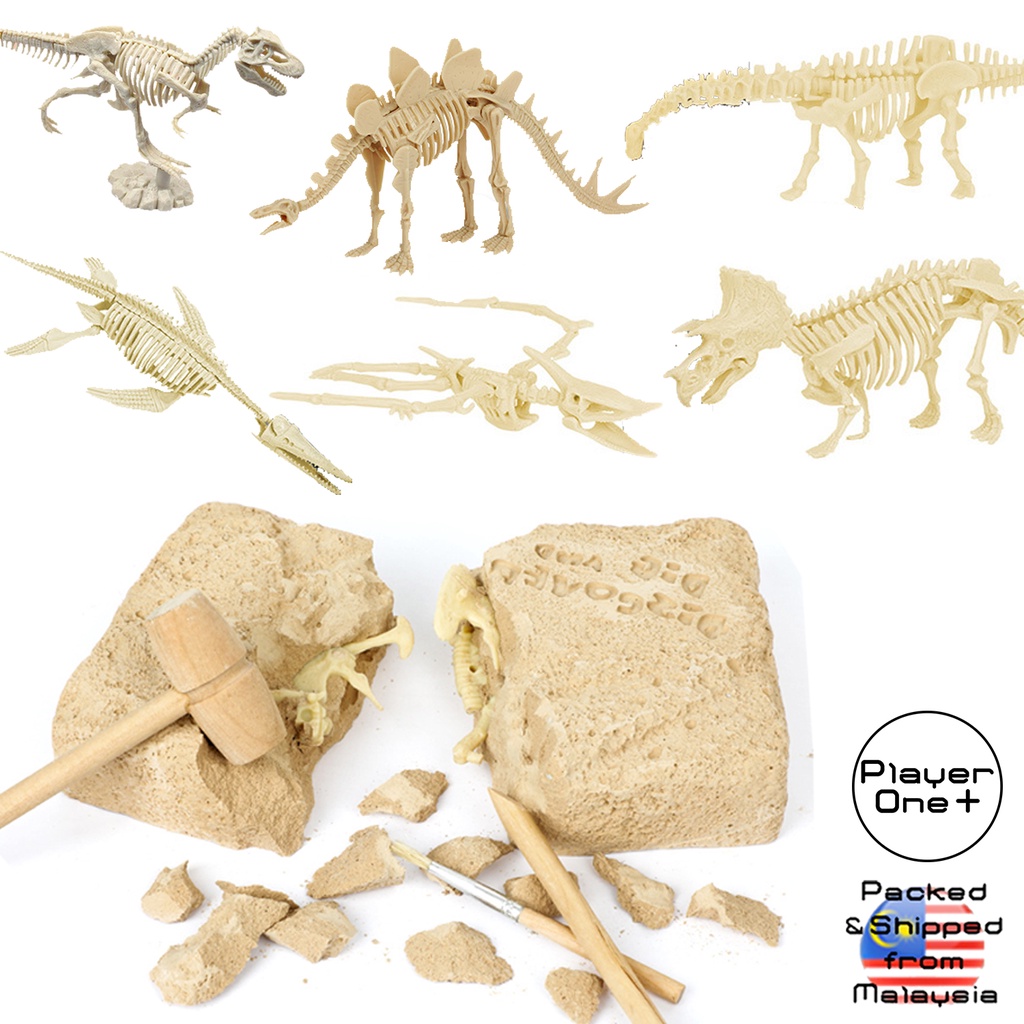 Dinosaur Fossil Dig Excavation Kit 3D Skeleton Puzzle Models Dinosaur