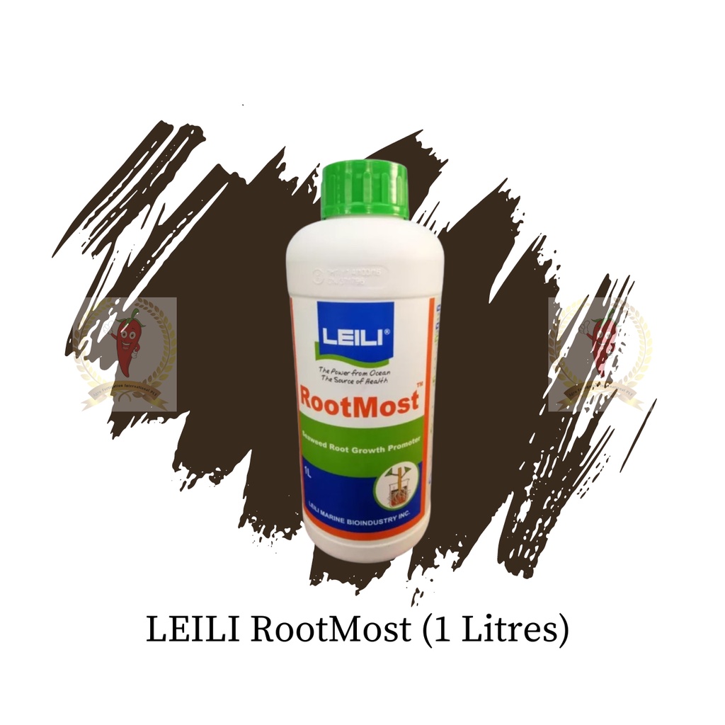 LEILI RootMost 1L Seaweed Fertilizer Root Growth Promoter Stronger