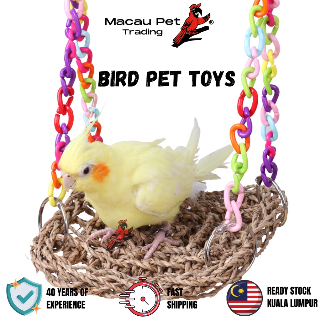 Discount shop bird toys