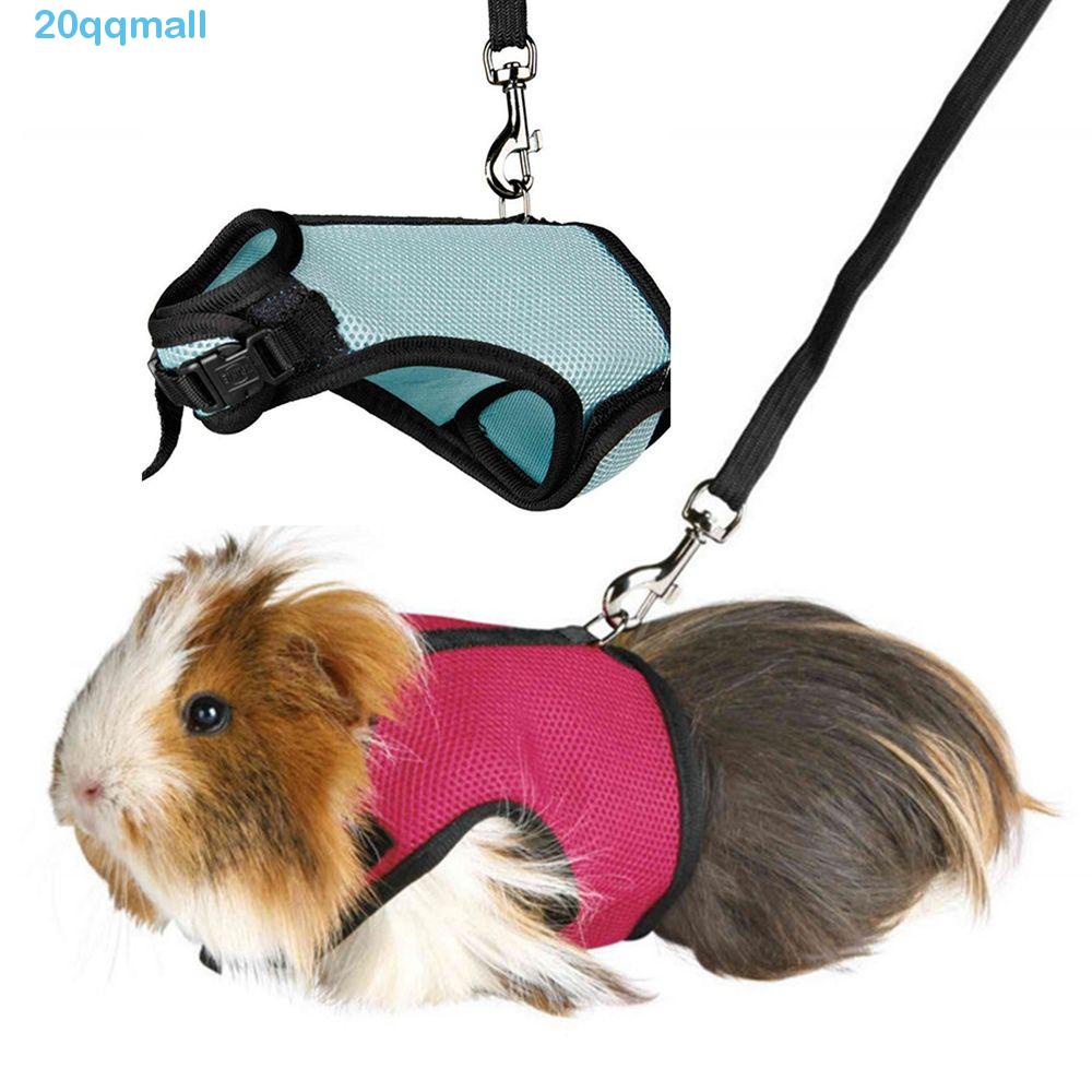 Guinea pig clearance harness and lead