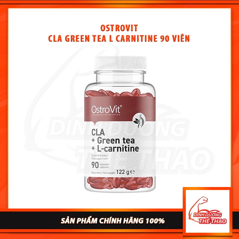Carnitine CLA Green Tea Safe Fat Burning Support Ostrovit L Carnitine