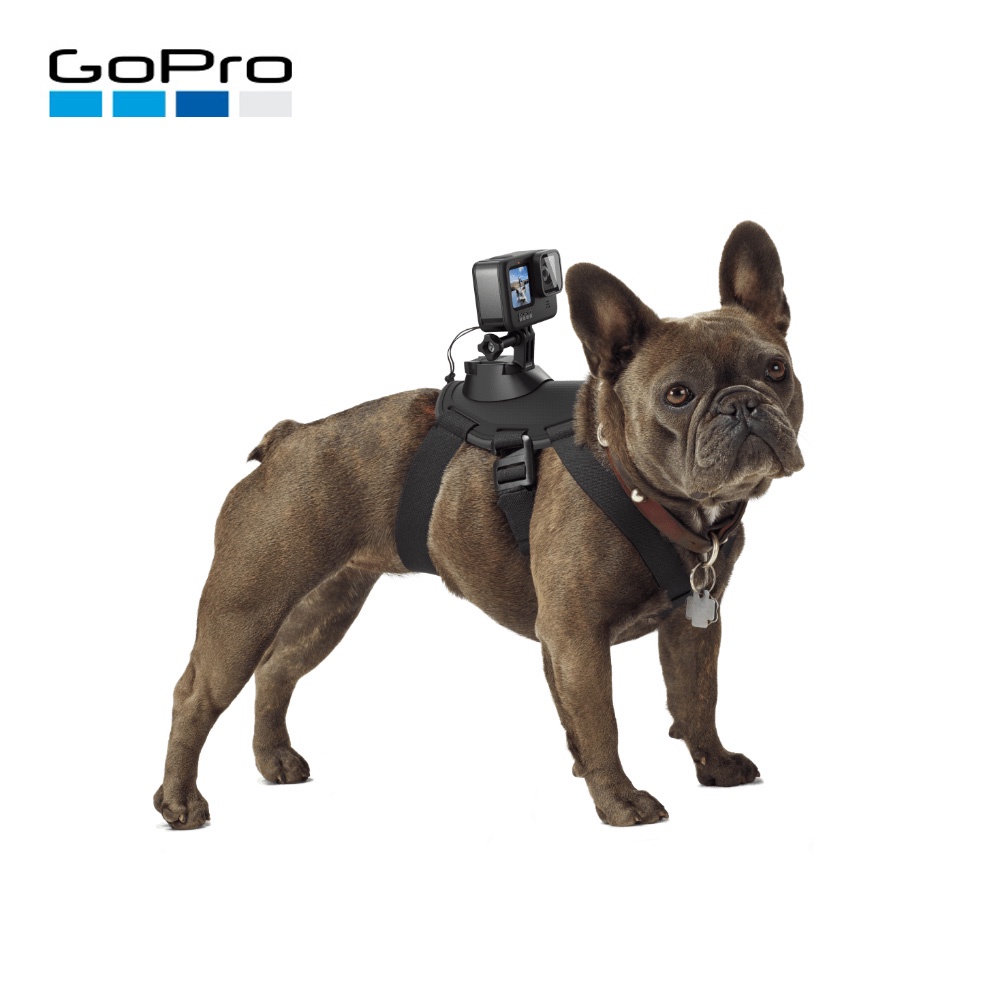 Gopro fetch mount best sale