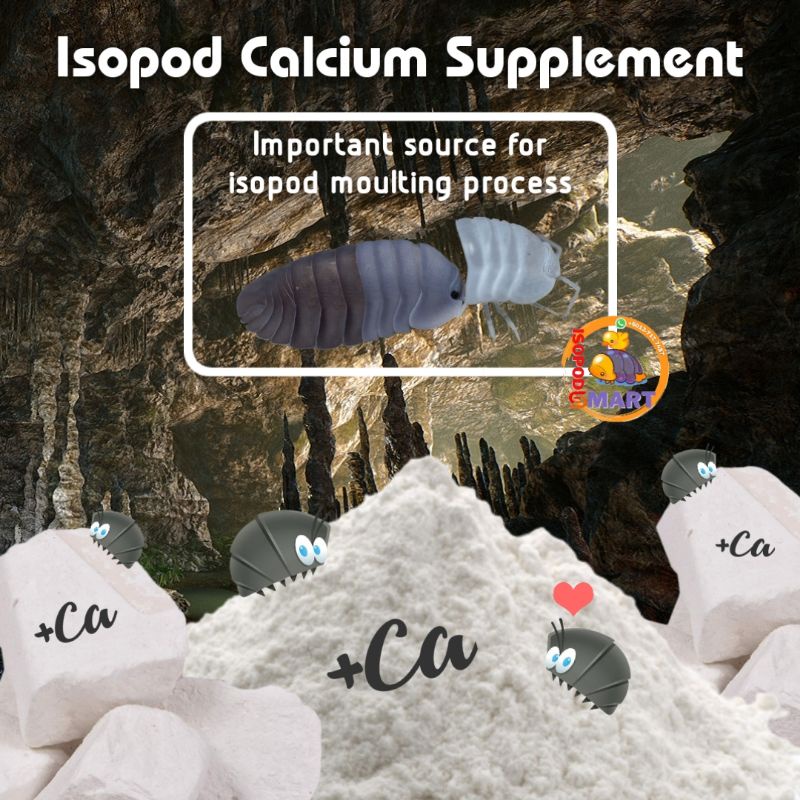 [Ready Stock] Isopod Calcium Powder / Calcium Block Shopee Malaysia