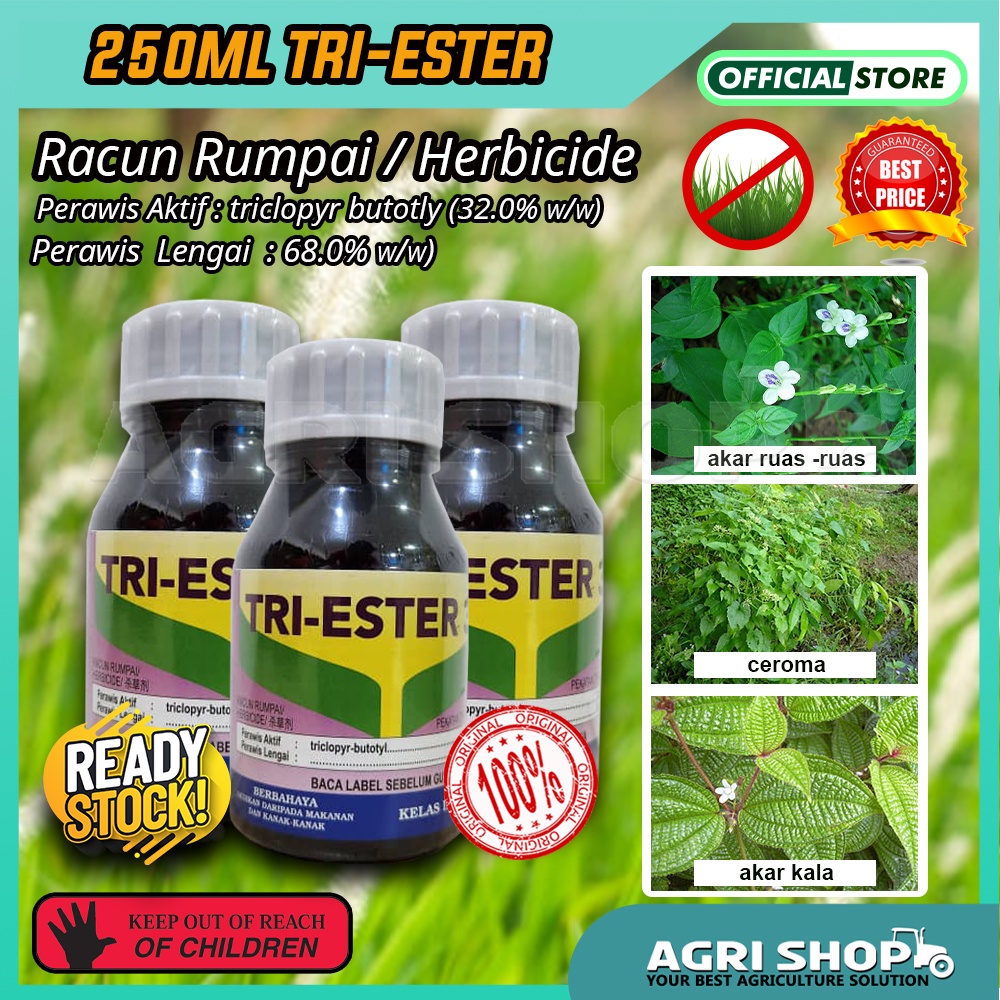 Agrishop 250 Ml Tri Ester Triclopyr Butotyl 32 Herbicide Tree Killing