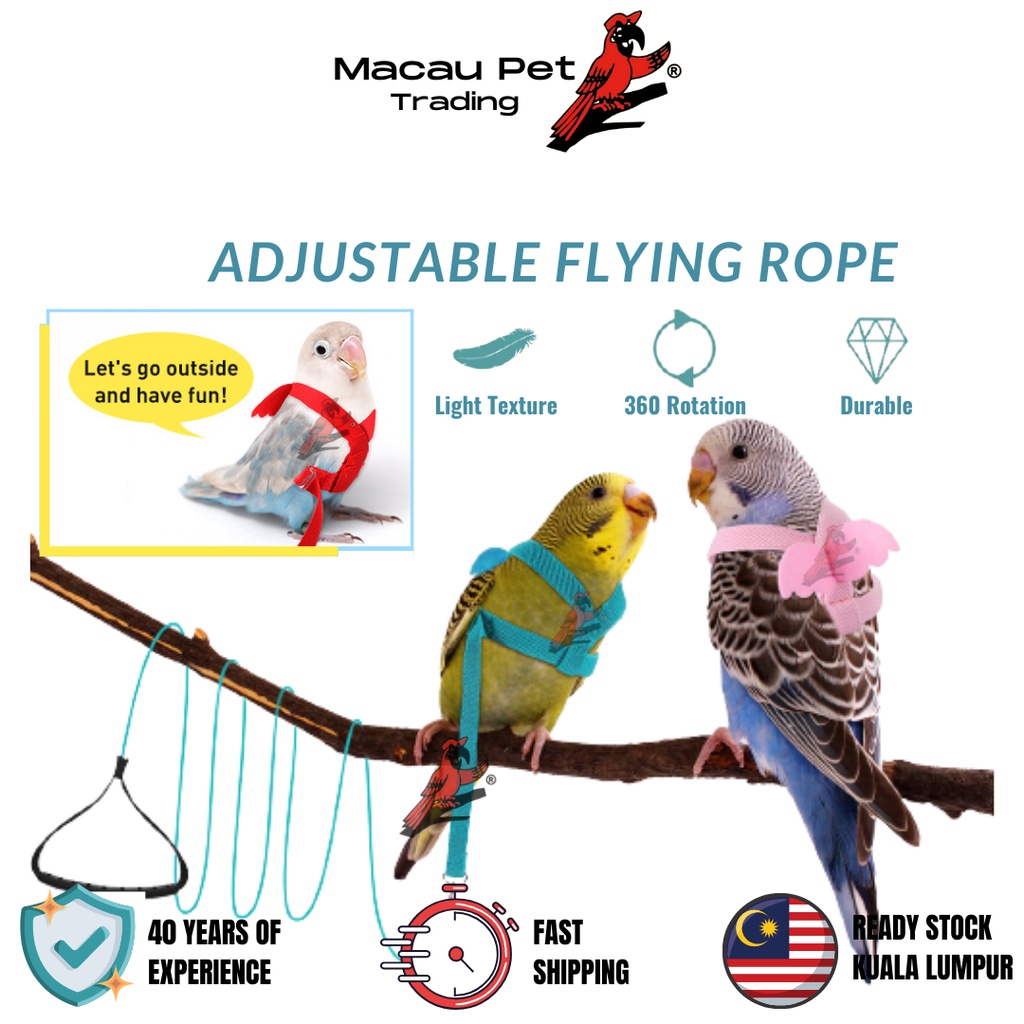 Leash for parrots best sale