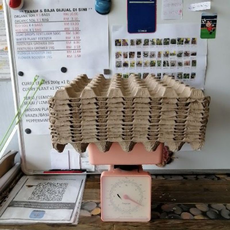 2nd Hand/Recycle Cleaned Egg Tray / Container 鸡蛋托 x 1pcs RM0.15