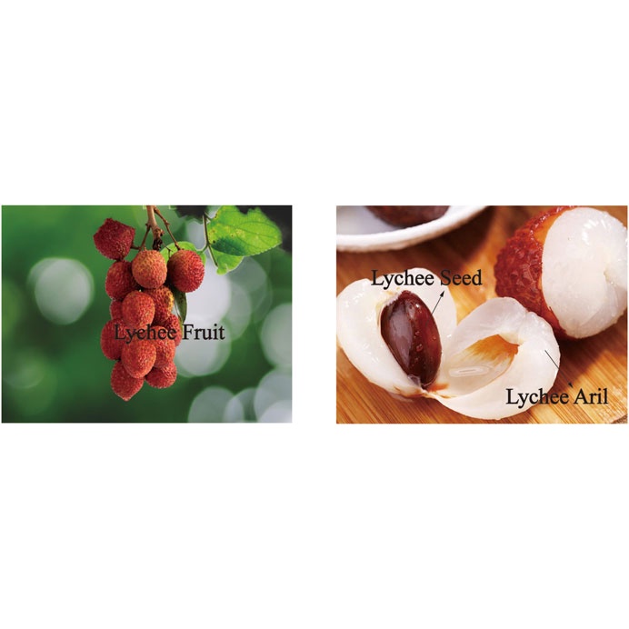 Dried Lychee Seed Peel Juice Powder Semen Exocarp Litchi Li Zhi