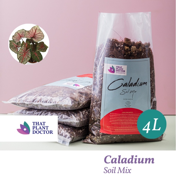 Caladium Soil Mix (4L / 1.8KG) Shopee Malaysia