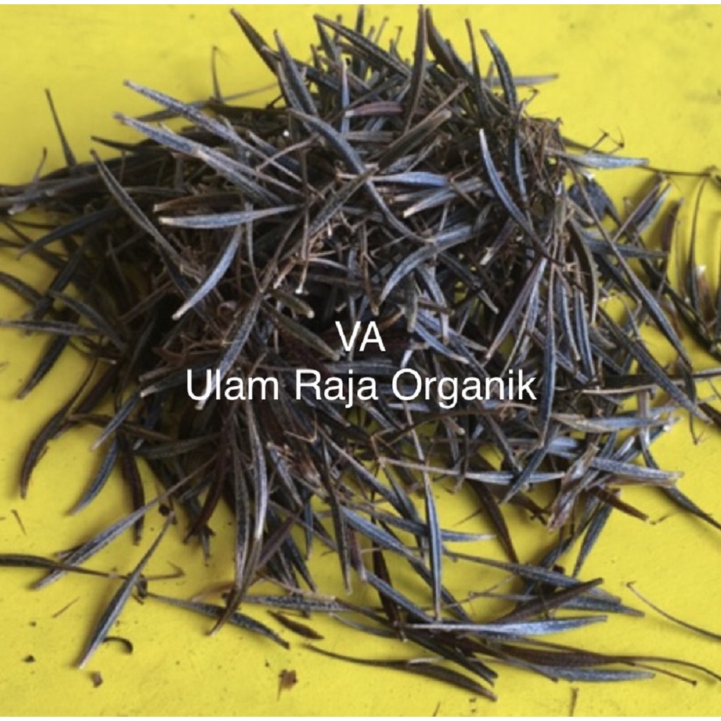 Biji Benih Ulam Raja Organik- 20pcs | Shopee Malaysia