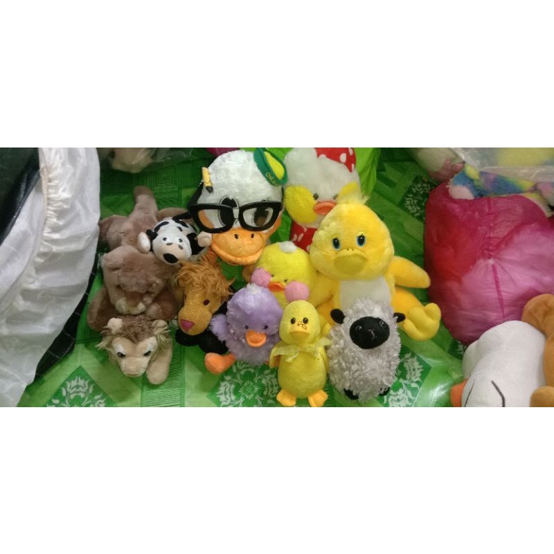 patung sofftoys Peter rabbit | Shopee Malaysia