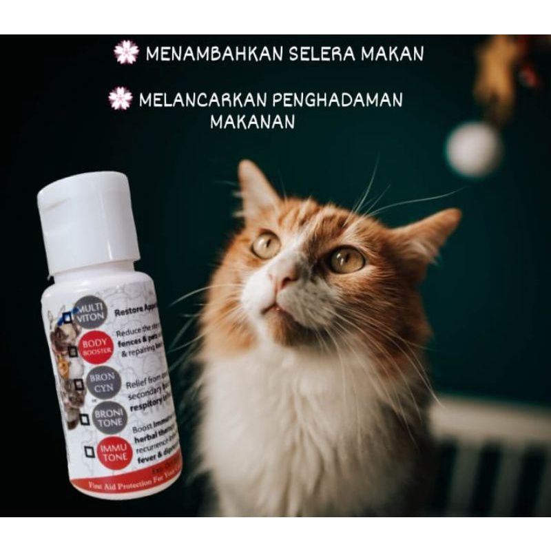 MULTIVITON VITAMIN(menambahkan selera makan kucing Dan menggemukkan ...