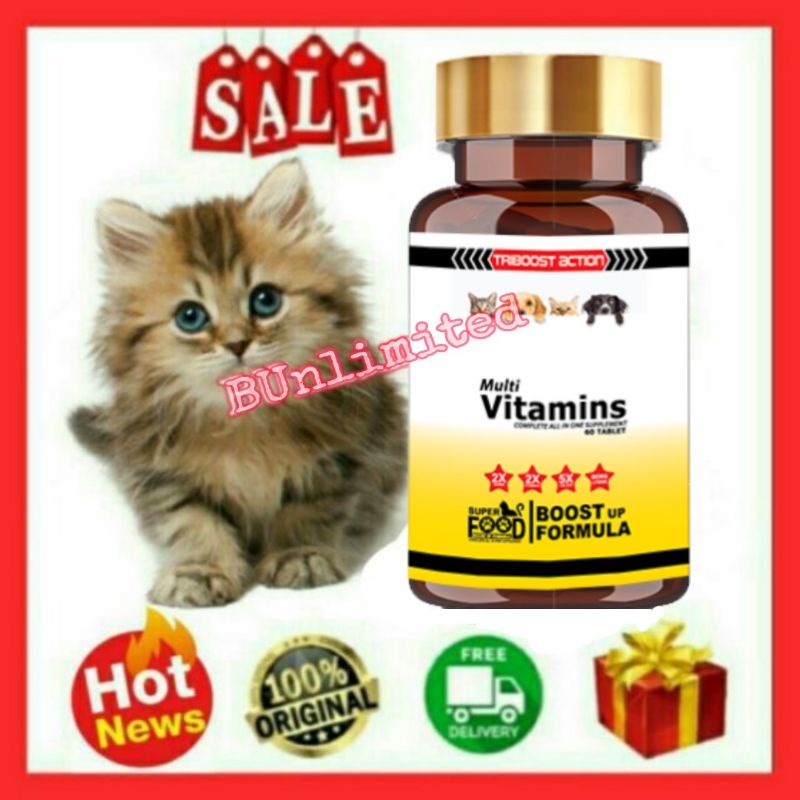 💥HOT VIRAL💥 Superfood Ubat Kucing Kutu, gemok gebu, bulu gugur, kurap