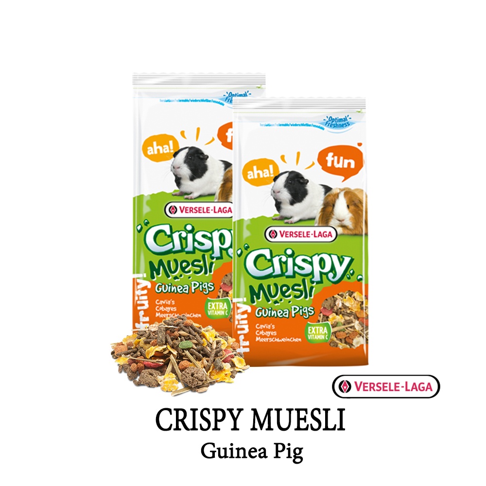 Guinea pig muesli hotsell