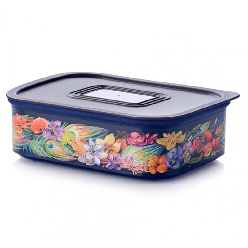 Tupperware baseline merak 500ml | Shopee Malaysia