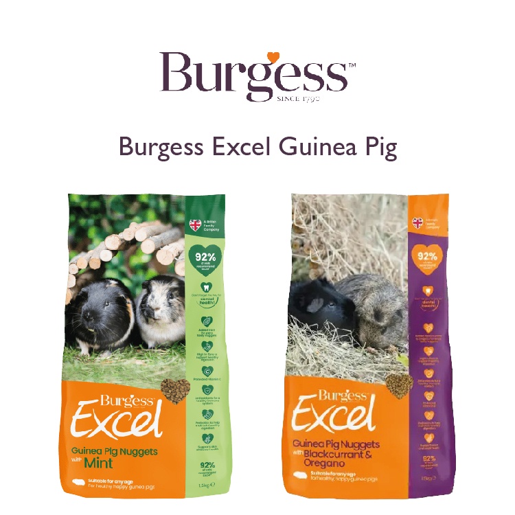 Burgess excel guinea pig hotsell blackcurrant oregano