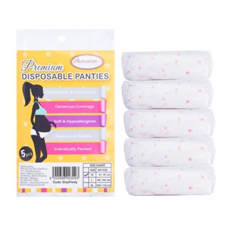 Autumnz - Disposable Mesh Panties / Autumnz - Premium Disposable Cotton  Panties M / L / XL / XXL Panty