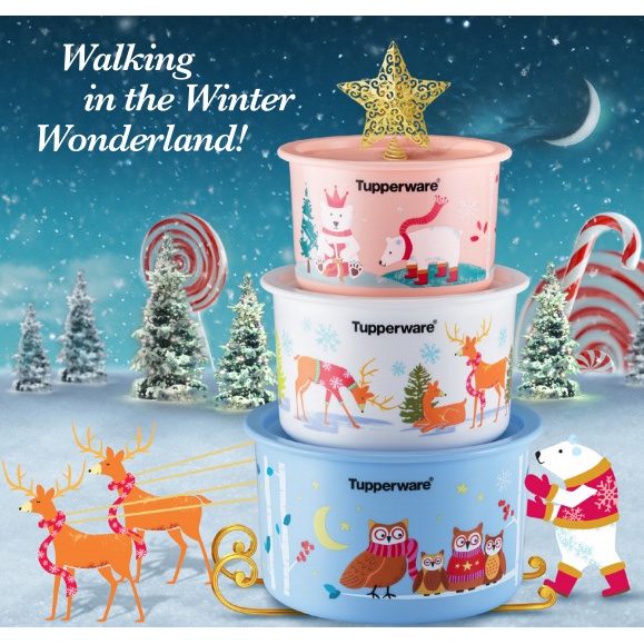 Tupperware Winter Joy Baseline Set (Christmas Edition)