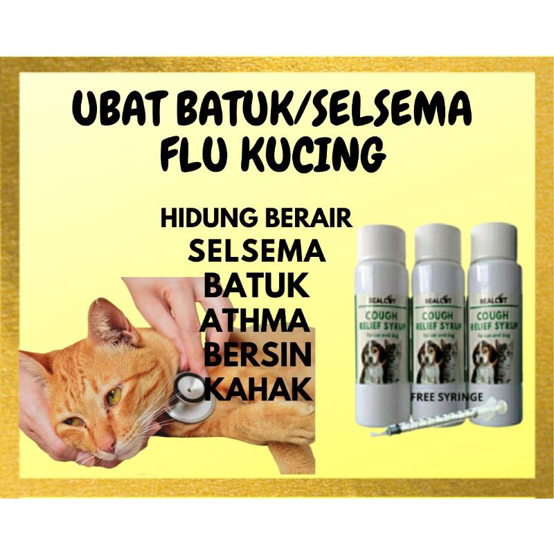 Ubat Batuk Berpanjangan Kahak Lendir Bersin Flu Asma 30ml Shopee Malaysia