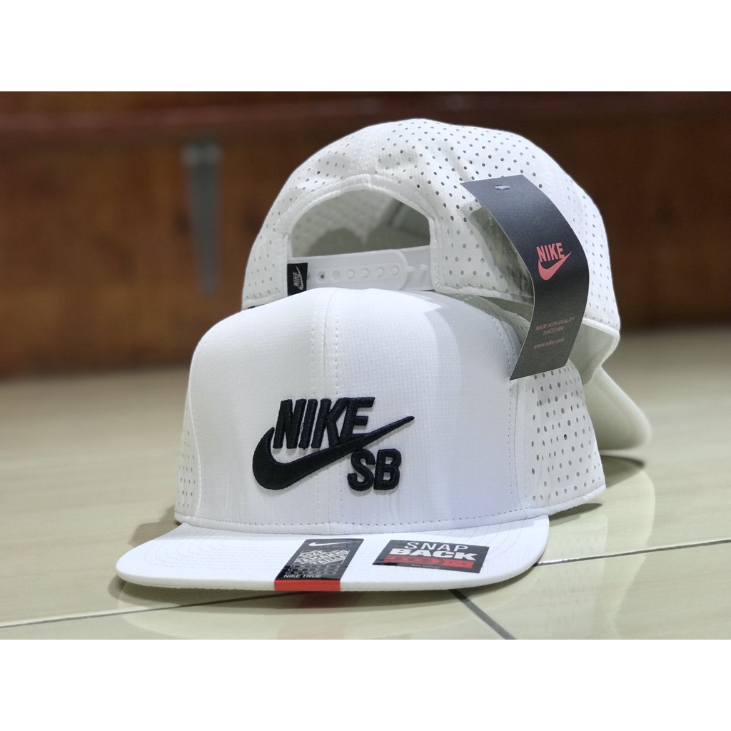 Nike sb hot sale sports hat