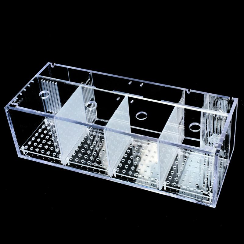 fighting fish acrylic isolation fish tank (RS2850) | Shopee Malaysia
