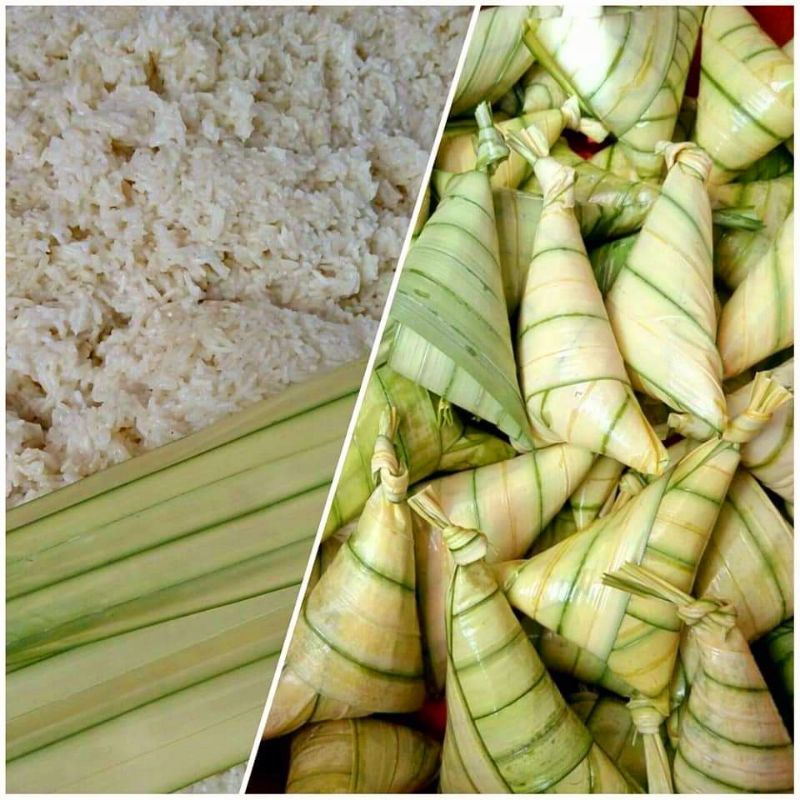 KETUPAT DAUN PALAS KELANTAN | Shopee Malaysia