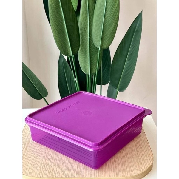 Tupperware B2B Snack Store Purple 2.9L Ready Stock | Shopee Malaysia