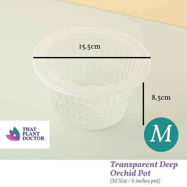 Transparent Deep Orchid Pot (M Size / 6 inches pot) | Shopee Malaysia