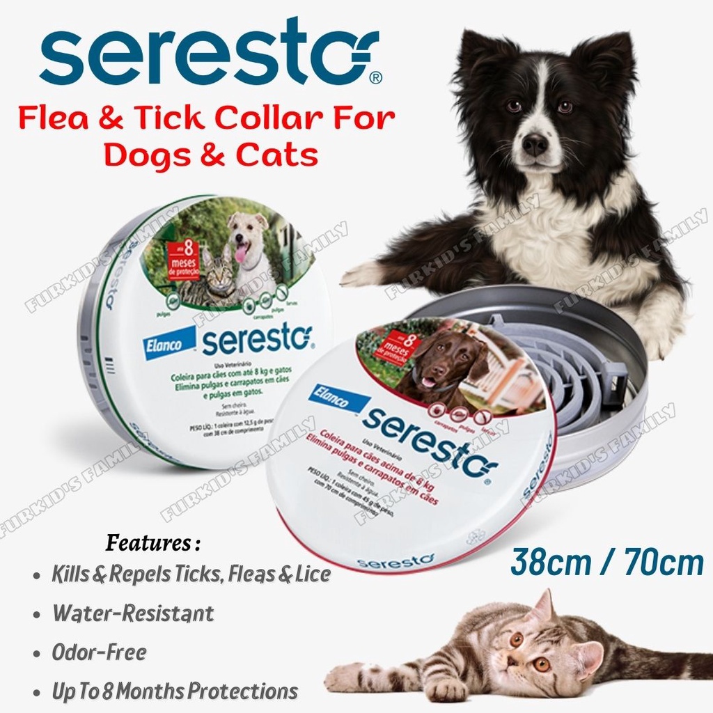 Seresto shop border collie