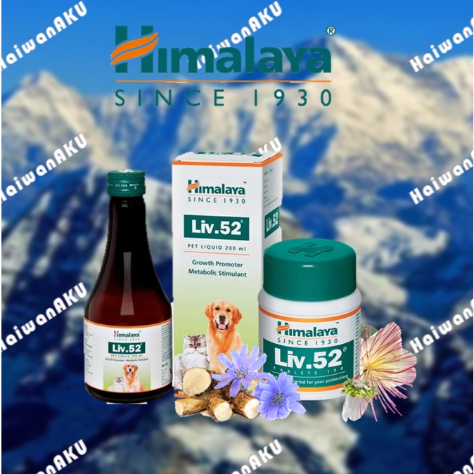 HIMALAYA Liv.52 Tablet & Syrup Shopee Malaysia