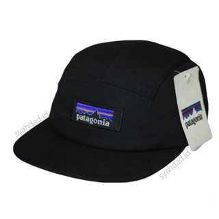 Patagonia best sale panel cap