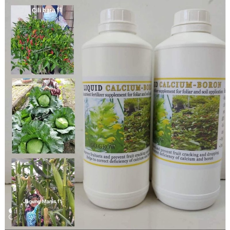 1 LITER LIQUID CALCIUM BORON FOLIAR SPRAY FERTILIZER. Shopee Malaysia